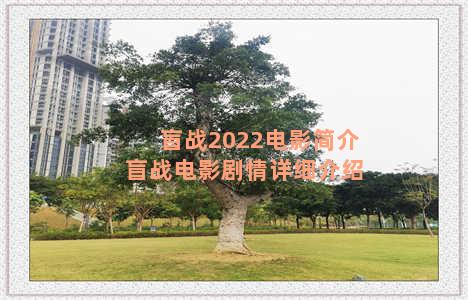 盲战2022电影简介 盲战电影剧情详细介绍